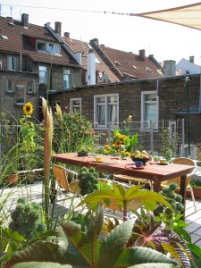 Dachterrasse Loft